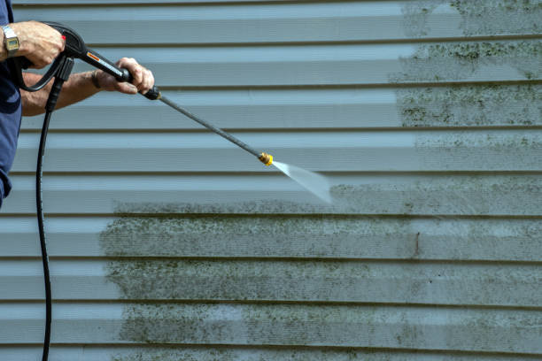 Best Vinyl Siding Pressure Washing in Dallas Center, IA