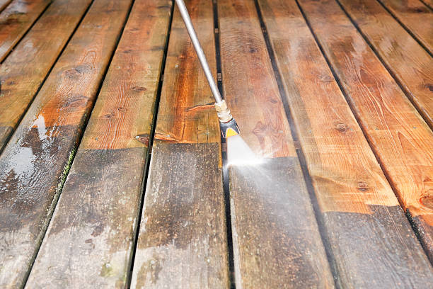 Best Soft Washing for Delicate Surfaces in Dallas Center, IA